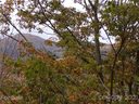 00 Tater Patch Road 17 and 18 sold home in Maggie Valley, SC