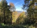 Lot 232 Tannehill Lane sold home in Waynesville, SC