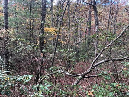 Lot 5 Oriole Road