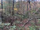 Lot 5 Oriole Road sold home in Brevard, SC