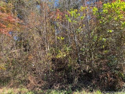 0 Chapel Hill Lane sold lot in Highland Hills, Leicester, NC
