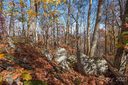 Tract 8 9 Sigogglin Trail sold home in Waynesville, SC