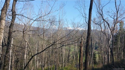 230 Shining Rock Path sold lot in Homestead at Mills River, Mills River, NC