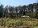 119 Con Lee Drive sold home in Olin, SC