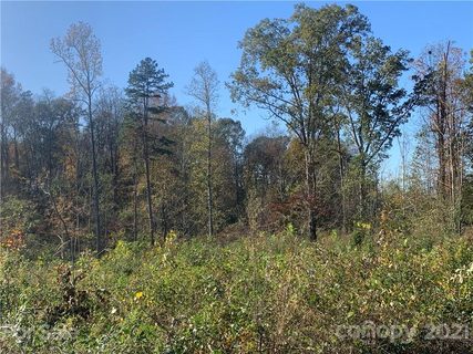 135 Con Lee Drive sold lot in Con Lee Heights, Olin, NC