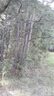 0 Maple Street sold home in Norwood, SC