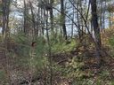 Lot 83 Mountain Home Trail sold home in Brevard, SC