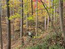 000 Grey Rock Parkway 37/38 sold home in Lake Lure, SC