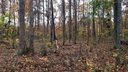 0 Timberlane Trail 123 sold home in Salisbury, SC