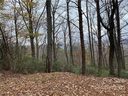 Tba Cardinal Road 302 sold home in Lake Lure, SC