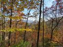 201 Patriots Drive sold home in Asheville, SC
