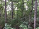 0000 Hollow Road sold home in Lincolnton, SC