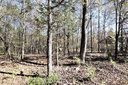 6 7 Pimlico Lane 6&7 sold home in Waxhaw, SC