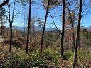 0 Deer Jump Trail 348 sold home in Lake Lure, SC