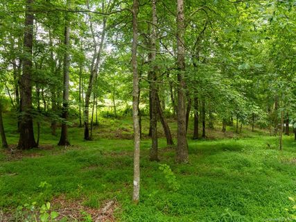 Lot 6 Thistle Lane