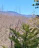 Lot 138 Arcadia Falls Way sold home in Black Mountain, SC