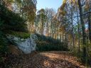 9 Flora Rose Trail Tract 1 sold home in Asheville, SC