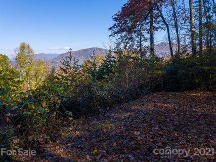 19 Flora Rose Trail sold lot in Rosy Hills, Asheville, NC