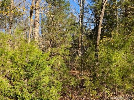 0 Lannie Lane Lot 18 sold land listing in McFadden Estates, Rock Hill, SC