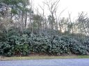 750 Zelda Court 70 sold home in Hendersonville, SC