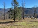 0000 Glen Haven Cove 65 sold home in Hendersonville, SC