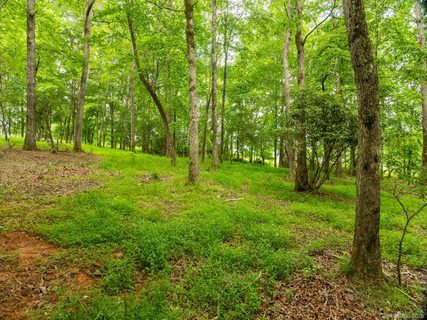 Lot 5 Turkey Ridge Road