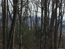 Lot 15 Village Coyote Hollow Road sold home in Waynesville, SC