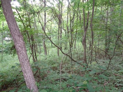 955 Brandywine Road 411