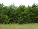 0 Twin K Drive 25 sold home in Rutherfordton, SC