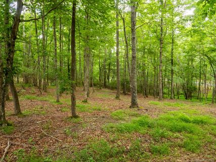 Lot 3 Turkey Ridge Road