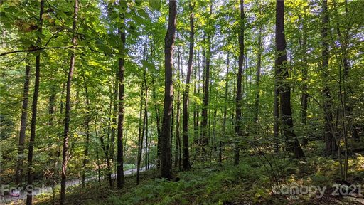 99999 Sand Branch Road sold home in Treehaven, Black Mountain, NC