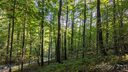 99999 Sand Branch Road sold home in Black Mountain, SC