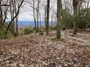 0000 Cliffledge Trail 23 sold home in Black Mountain, SC