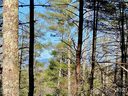 2116 October Drive 146 sold home in Nebo, SC