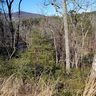 000 Lure Ridge Drive 3 sold home in Lake Lure, SC