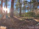 L 4 Canvasback Court sold home in Brevard, SC