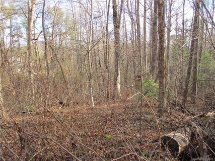 Tbd Burge Mountain Road