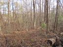 Tbd Burge Mountain Road sold home in Hendersonville, SC
