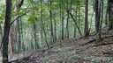 167 Puncheon Lane sold home in Mars Hill, SC