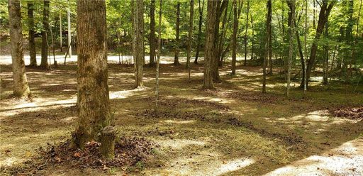 2067 Line Runner Ridge Road A-12A