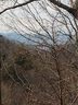 86 Bartrams Walk Drive 14 sold home in Asheville, SC
