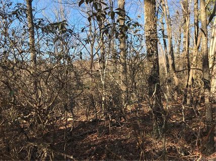 00 Arrowhead Trail 83 sold home in Camp Skyuka, Columbus, NC