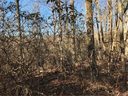 00 Arrowhead Trail 83 sold home in Columbus, SC