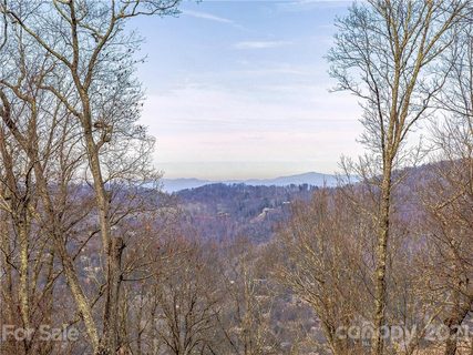 28 Mt Meadows Boulevard 32 sold home in Wildcat Cliffs, Asheville, NC