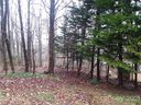 000 Sequoia Drive sold home in Gastonia, SC