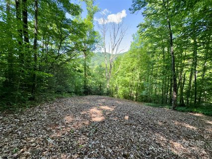 14 Trout Lily Lane