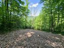 14 Trout Lily Lane sold home in Maggie Valley, SC