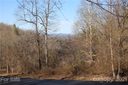 41 View Ridge Parkway sold home in Leicester, SC