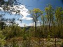 Lot 133 Bear River Lodge Trail sold home in Marshall, SC