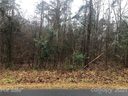 0 Lake Head Road 218 sold home in Norwood, SC